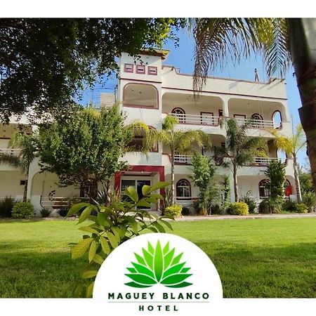 Hotel Maguey Blanco Ixmiquilpan Exterior foto