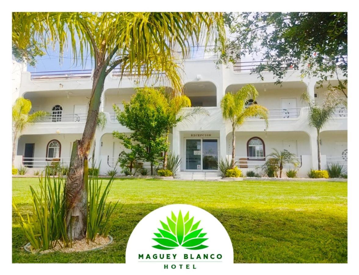 Hotel Maguey Blanco Ixmiquilpan Exterior foto