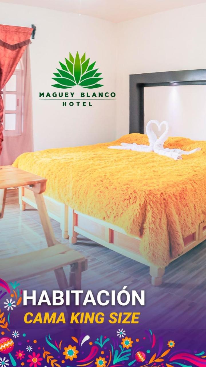 Hotel Maguey Blanco Ixmiquilpan Exterior foto